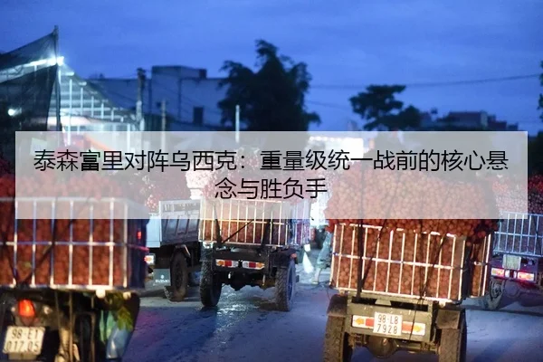 泰森富里对阵乌西克：重量级统一战前的核心悬念与胜负手